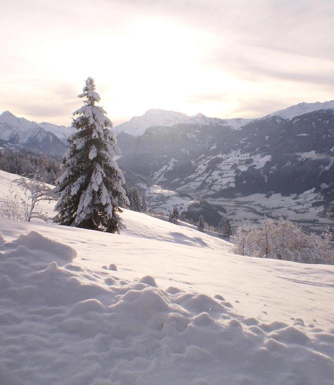 Apartment Greidlerhof Rohrberg ภายนอก รูปภาพ