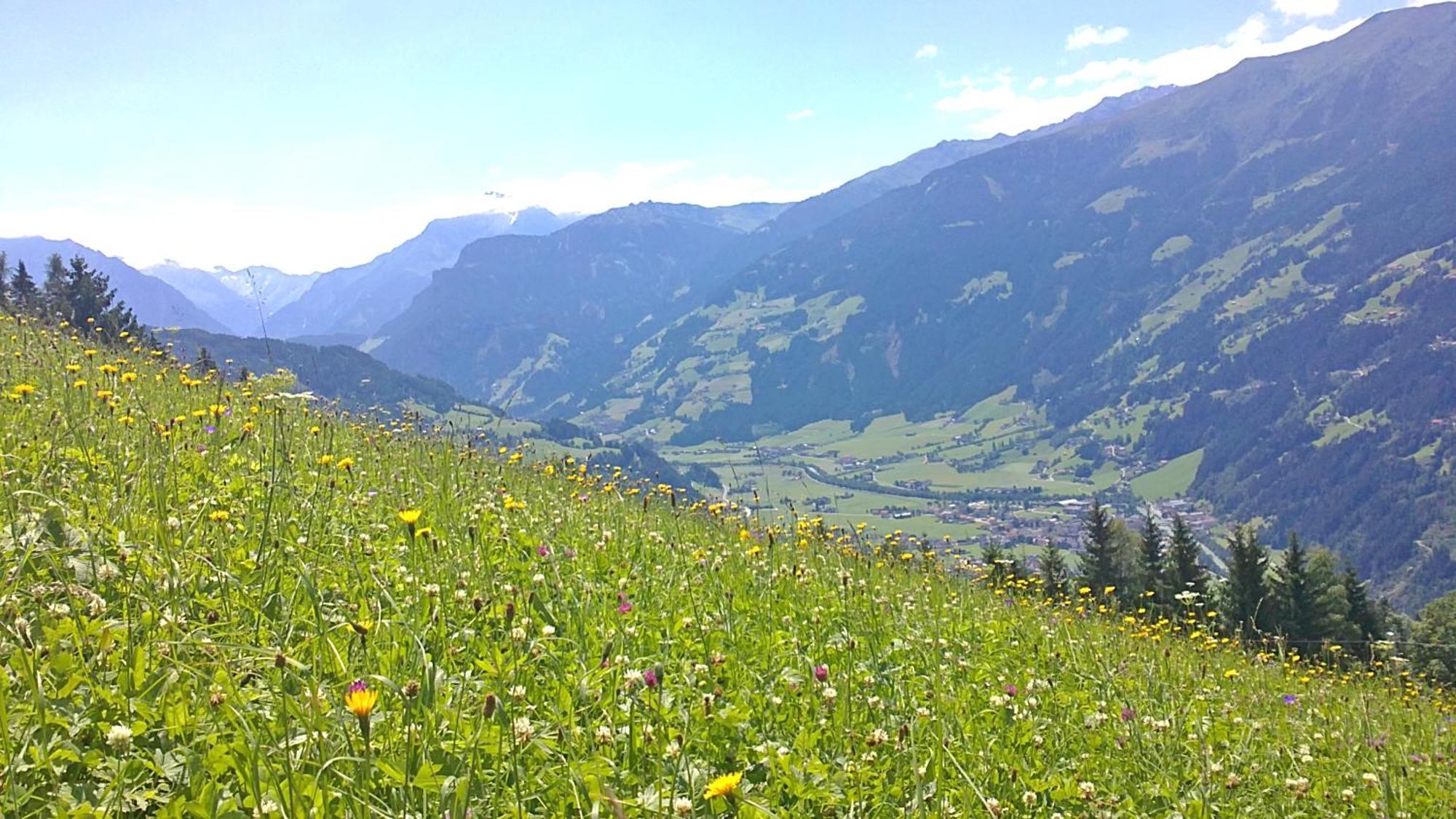 Apartment Greidlerhof Rohrberg ภายนอก รูปภาพ